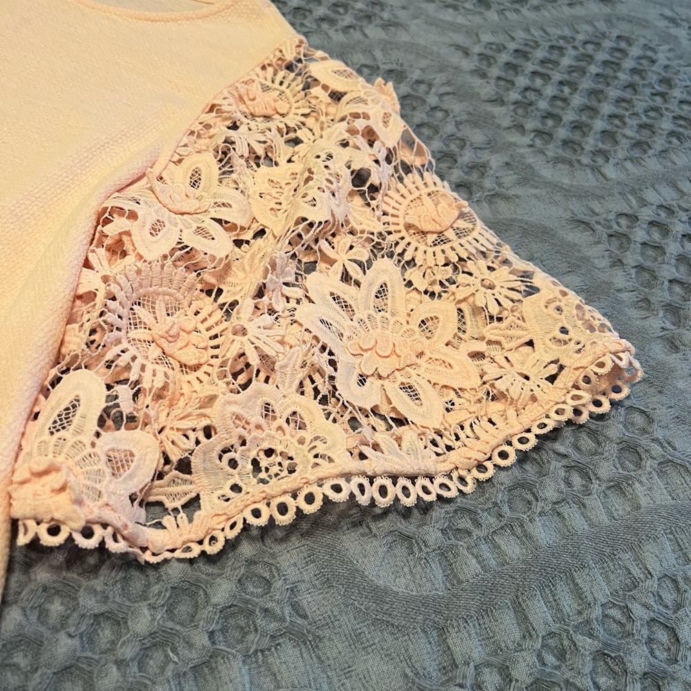 Anthro Elegant Lace Sleeve Blouse in Soft Pink - Picture 2 of 3